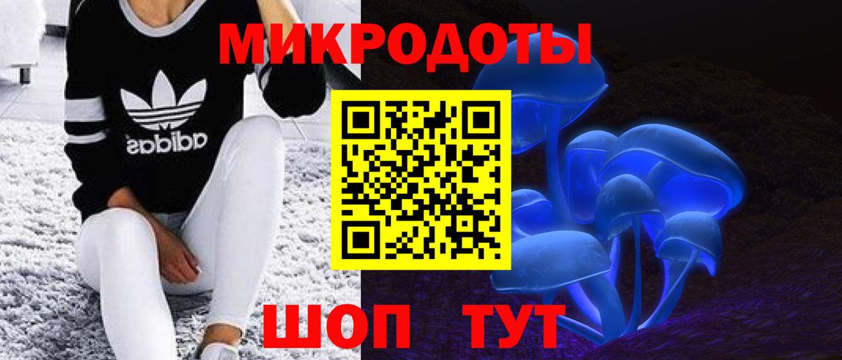 Галлюциногенные грибы Magic Shrooms  купить наркотик  Псилоцибиновые грибы Cubensis  Валуйки  Вход с VPN 
